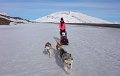 Dog sledding (29)